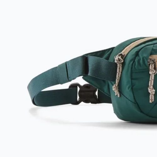 Waistbag Patagonia Terravia Mini Hip cascade green
