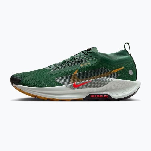 Men's running shoes Nike Pegasus Trail 5 GORE-TEX fir/bright crimson/clay green