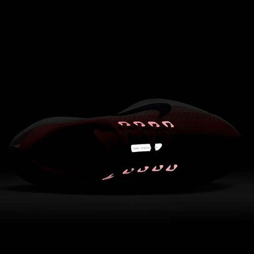 Women's running shoes Nike Pegasus Plus bright crimson / deep royal blue / silt red