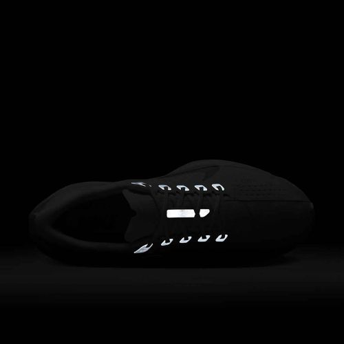 Men's running shoes Nike Pegasus Plus white / pure platinum / wolf grey