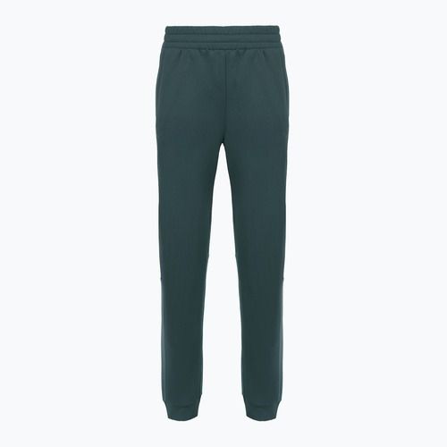 Women's trousers The North Face Mountain Athletics Fleece deep cypress/space