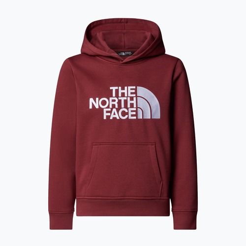 Children's sweatshirt The North Face Teen Drew Peak Pullover Hoodie sumac
