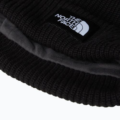 Winter hat The North Face Salty Lined