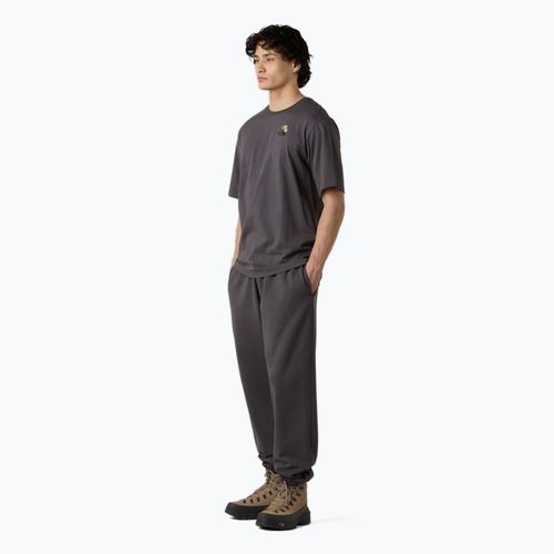 Men's T-shirt The North Face Flower Dome Relaxed Graphic anthracite grey