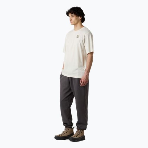 Men's T-shirt The North Face Flower Dome Relaxed Graphic white dune