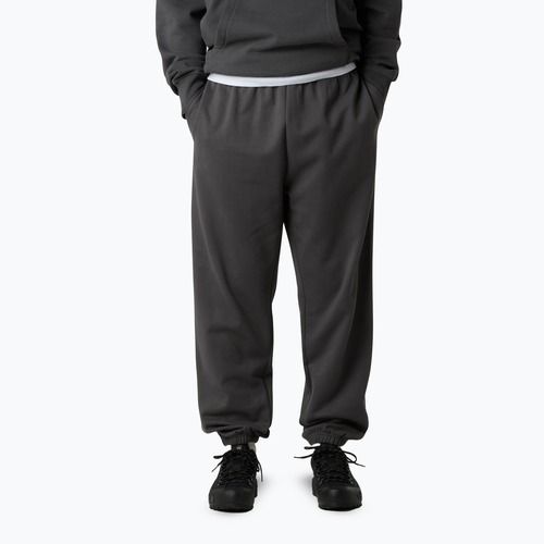 Men's trousers The North Face Expedition Celebration Relaxed Jogger Reg anthracite grey