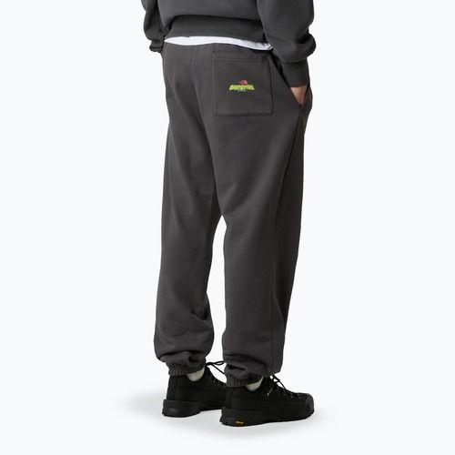 Men's trousers The North Face Expedition Celebration Relaxed Jogger Reg anthracite grey