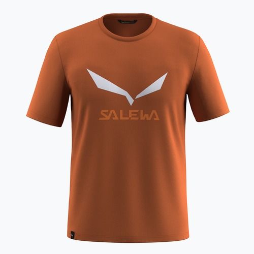 Men's T-shirt Salewa Solidlogo Dry bombay brown