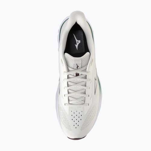 Men's running shoes Mizuno Wave Skyrise 7 snow white/north sea/summer sand