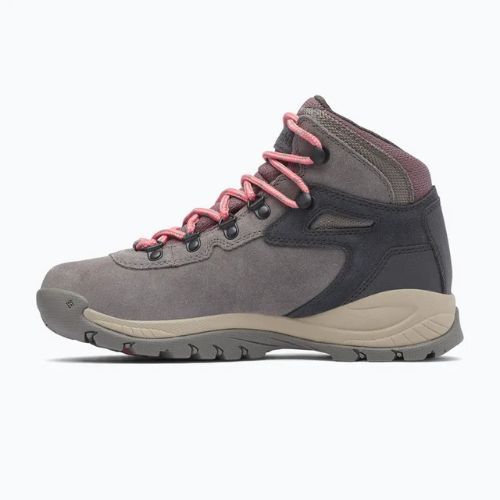 Women's trekking boots Columbia Newton Ridge Plus Wp Amped stratus/canyon rose