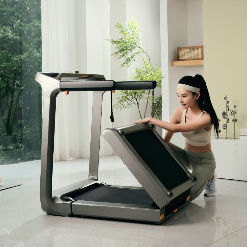 Electric treadmill Kingsmith X218 WalkingPad black/grey