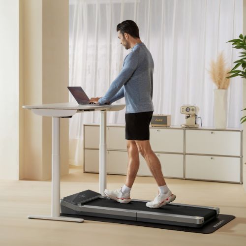 Electric treadmill Kingsmith Z3 Walk silver/black