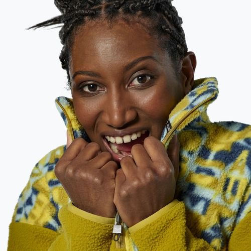 Men's sweatshirt Salewa Eagle Anniversary Full Zip olive oil