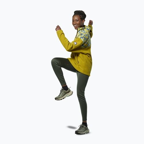 Men's sweatshirt Salewa Eagle Anniversary Full Zip olive oil