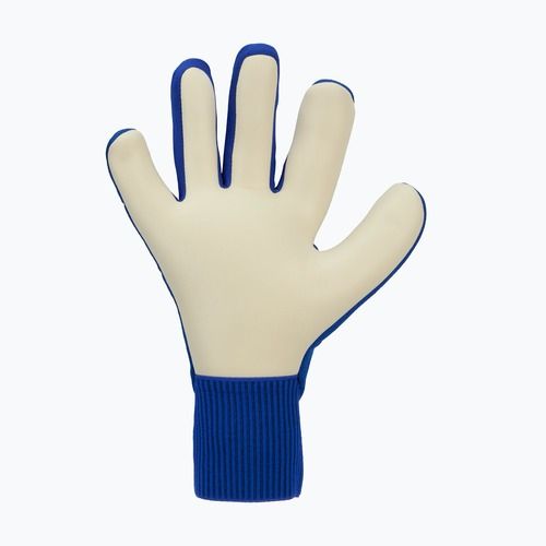 Goalkeeper gloves Nike Dynamic Fit racer blue/black/pink blast