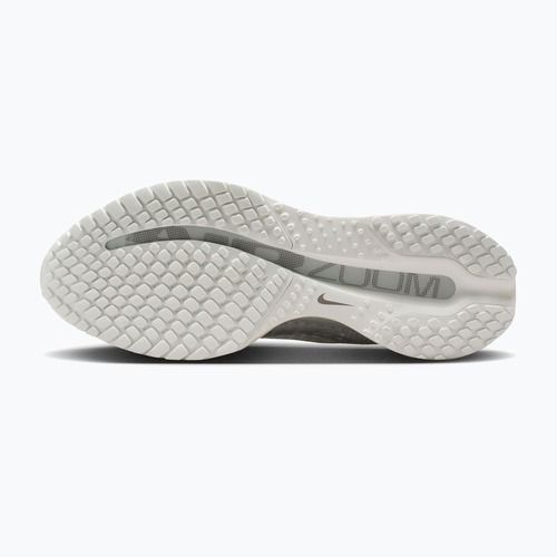 Women's running shoes Nike Pegasus Premium ESS summit white/pure platinum/white