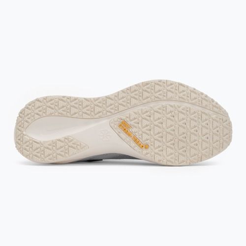 Men's running shoes Nike Pegasus 41 GTX sail/football grey/sundial/ashen slate