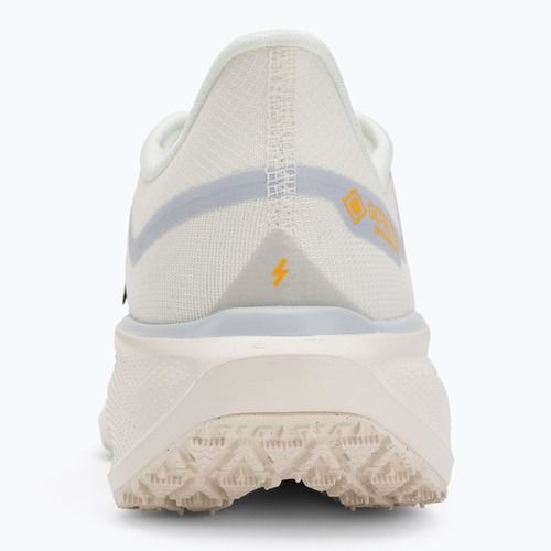 Men's running shoes Nike Pegasus 41 GTX sail/football grey/sundial/ashen slate