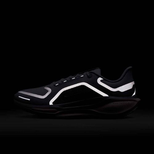 Men's running shoes Nike Pegasus 41 GTX light pumice/pure platinum/silt red/metal silver