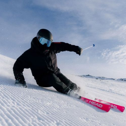 Alpine skis HEAD WC Rebels e-Race Pro RP WCR 14 + bindings Freeflex 14 GW 75 Years pink