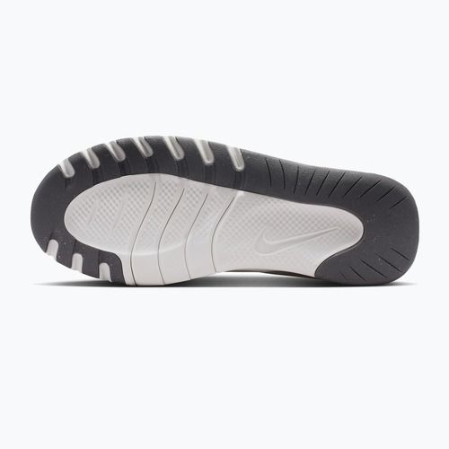 Women's training shoes Nike Flex Train sail/chalk/pencil point/white