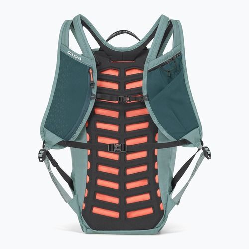 Hiking backpack Salewa Pedroc Active 16 l willow