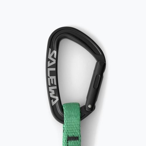 Climbing quickdraw Salewa Ortles Str/Bnt 170 Qd black/irish green