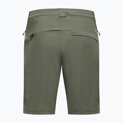Men's trekking shorts Salewa Puez Talveno DST faded green