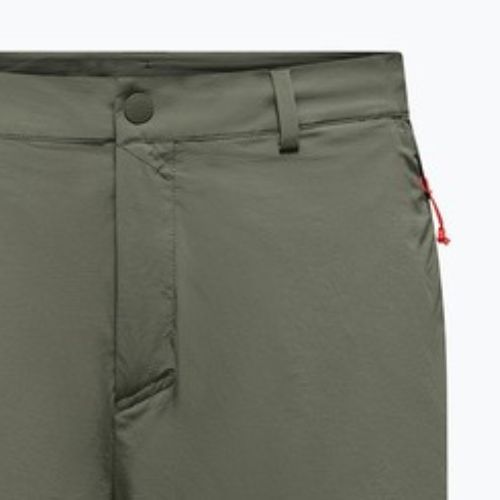 Men's trekking shorts Salewa Puez Talveno DST faded green
