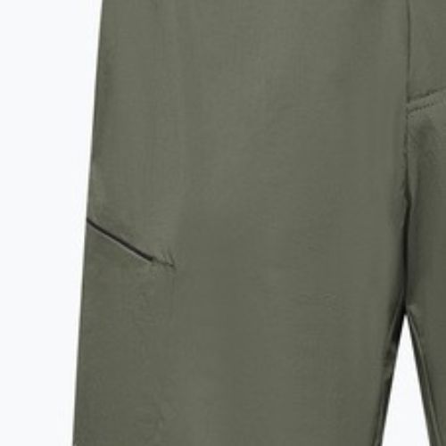 Men's trekking shorts Salewa Pedroc 4 DST Cargo faded green