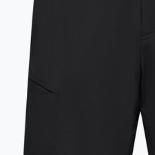 Men's trekking shorts Salewa Pedroc 4 DST Cargo black out