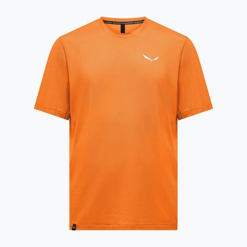 Men's T-shirt Salewa Pedroc Dry Light turmeric