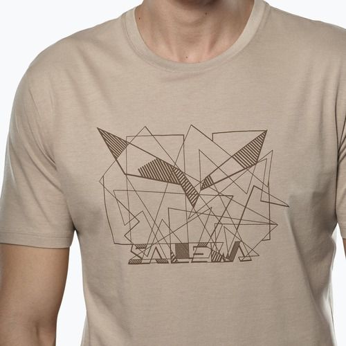 Men's T-shirt Salewa Eagle Geometric quicksand