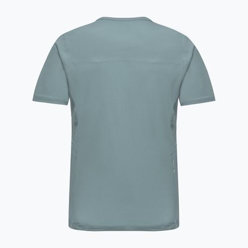 Men's trekking T-shirt Salewa Puez Sporty Dry willow