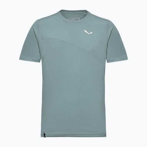 Men's trekking T-shirt Salewa Puez Sporty Dry willow