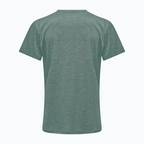 Men's trekking T-shirt Salewa Puez Melange Dry willow melange