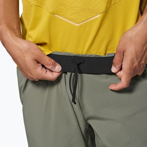 Men's trekking trousers Salewa Pedroc 3 DST Light faded green