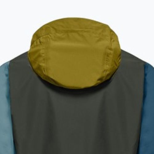 Men's rain jacket Salewa Puez Aqua 4 PTX 2.5L olive oil/multi