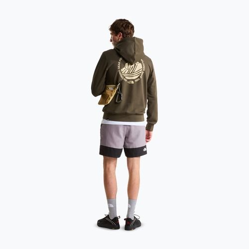 Men's sweatshirt The North Face Monte Regular Hoodie Graphic new taupe green