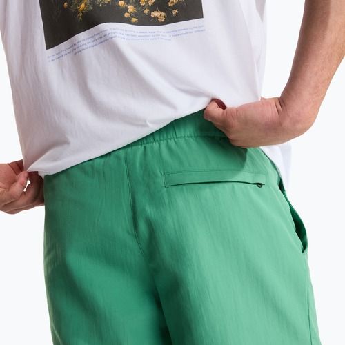 Men's trekking shorts The North Face Leynar dimmed algae/tnf black