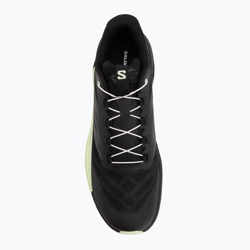 Men's running shoes Salomon Pulsar black/black/patina green