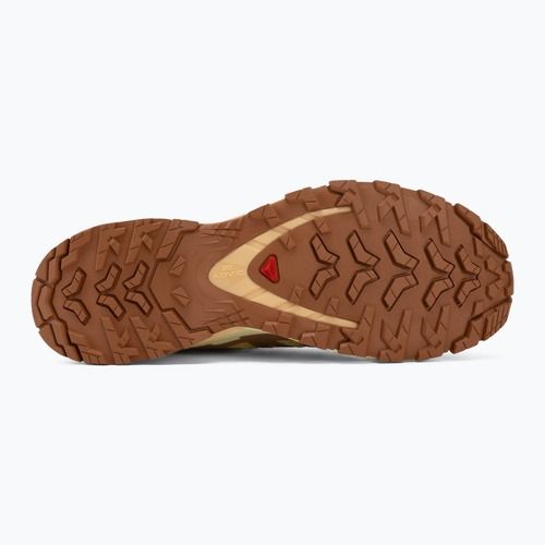 Women's running shoes Salomon XA Pro 3D V9 endive/burro/almond cream