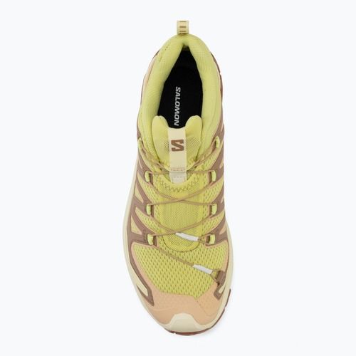 Women's running shoes Salomon XA Pro 3D V9 endive/burro/almond cream