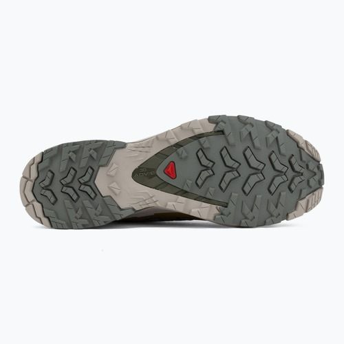 Men's running shoes Salomon XA Pro 3D V9 sedona sage/plantation/paloma