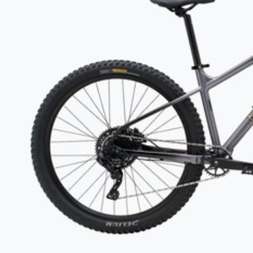 Mountain bike Marin San Quentin 1 27.5 grey fade