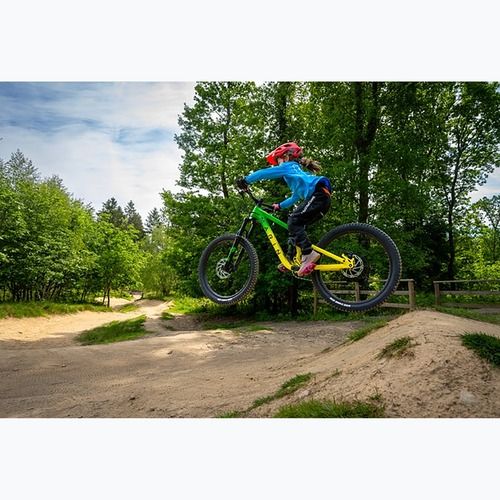 Junior bike Marin Rift Zone Jr 26 green/yellow fade