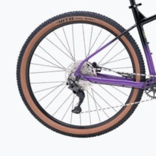 Mountain bike Marin Bobcat Trail 4 27.5 gloss black/purple/neon yellow