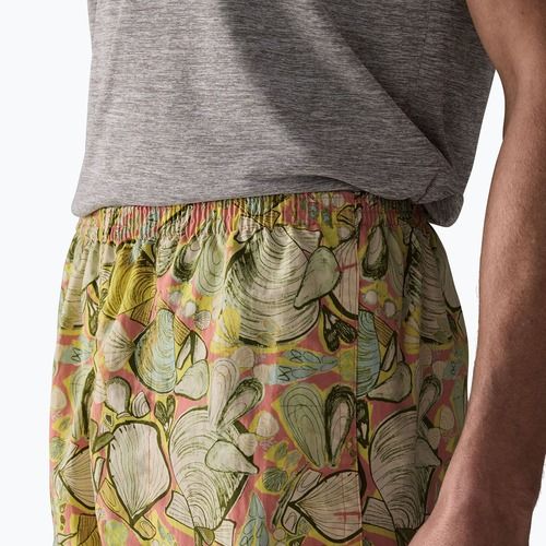 Men's shorts Patagonia Baggies 5" shelly shelly/mellow melon