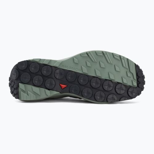 Women's hiking boots Salomon Terramphibian sea foam/green
