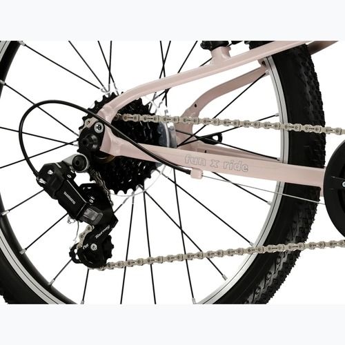 Children's bike KROSS Liftie 20 pink/graphite/matte